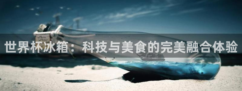 2026 世界杯：世界杯冰箱：科技与美食的完美融合体验