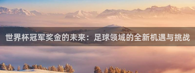 2026年世界杯赛程表时间：世界杯冠军奖金的未来：足球领域的全新机遇与挑战