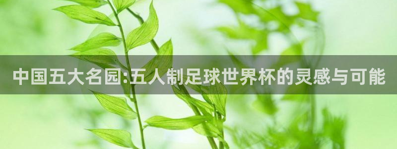 2026世界杯官网：中国五大名园:五人制足球世界杯的灵感与可能