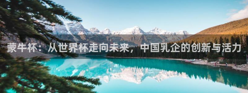 2026世界杯亚洲区预选赛：蒙牛杯：从世界杯走向未来，中国乳企的创新与活力