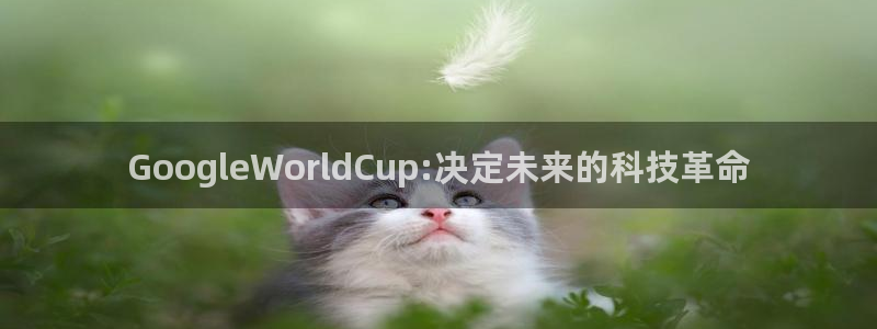 世界杯预选赛：GoogleWorldCup:决定未来的科技革命