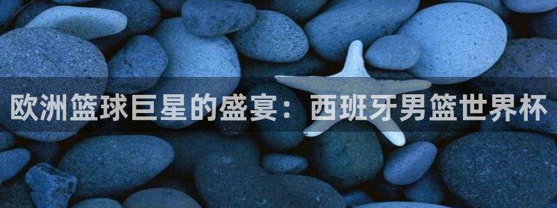 2026世预赛赛程：欧洲篮球巨星的盛宴：西班牙男篮世界杯