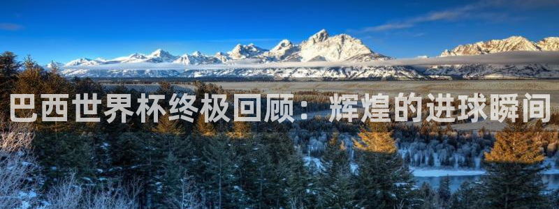 2026世界杯亚洲区预选赛：巴西世界杯终极回顾：辉煌的进球瞬间