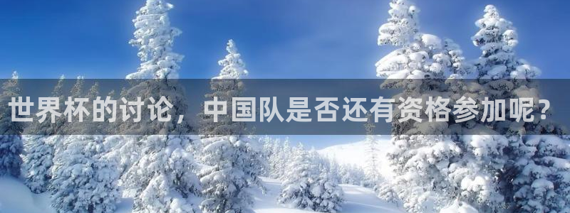 女足世界杯赛程：世界杯的讨论，中国队是否还有资格参加呢？
