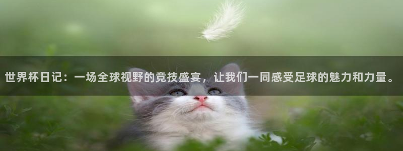 世界杯比赛直播：世界杯日记：一场全球视野的竞技盛宴，让我们一同感受足球的魅力和力量。