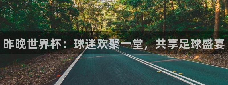 世界杯足球赛2026：昨晚世界杯：球迷欢聚一堂，共享足球盛宴