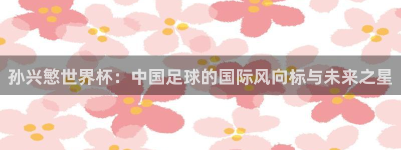 2026世界杯32强对阵图表：孙兴慜世界杯：中国足球的国际风向标与未来之星