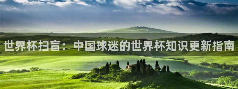 今年世界杯：世界杯扫盲：中国球迷的世界杯知识更新指南