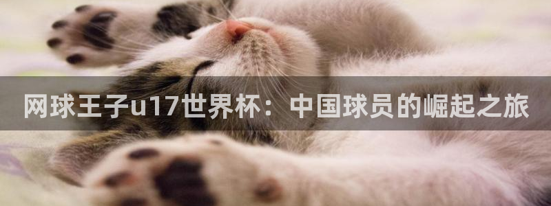 今年世界杯：网球王子u17世界杯：中国球员的崛起之旅