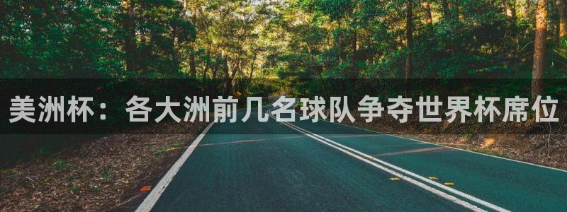 世界杯足球直播：美洲杯：各大洲前几名球队争夺世界杯席位